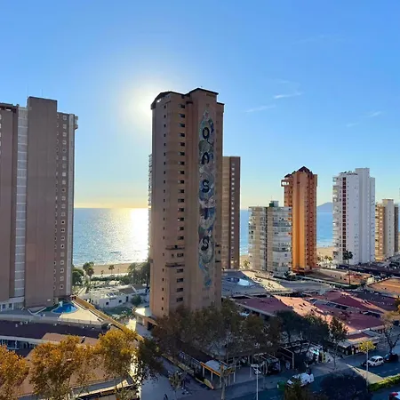 Albatros - 14º *